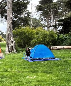 2-Person Camping Tent – Includes Rain Fly and Carrying Bag – Lightweight Outdoor Tent for Backpacking, Hiking, or Beach by Wakeman Outdoors Dome Blue 53 81dsDfTpuL