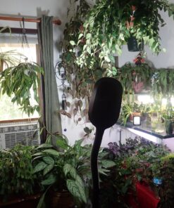 Lavish Home (72-0890) 5 Feet Sunlight Floor Lamp With Adjustable Gooseneck - Black 27 81dtLDzW5xL