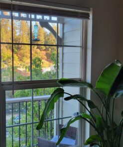 Perky-Pet 8108-1SR Antique Glass Bottle Hummingbird Feeder - Outdoor Garden Décor - 10 Oz Green Bottle 17 81dvMhvWojL