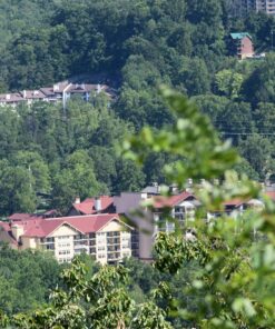 Nikon D3300 DX-format DSLR Kit w/ 18-55mm DX VR II & 55-200mm DX VR II Zoom Lenses and Case (Black) 59 81dwZL7yNNL