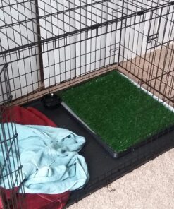 Artificial Grass Puppy Pee Pad for Dogs and Small Pets - 20x25 Reusable 3-Layer Training Potty Pad with Tray - Dog Housebreaking Supplies by PETMAKER Medium 3-Layer System 37 81dzII9MP2L