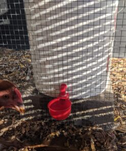 RentACoop DIY Waterer Kit - Auto-Fill Cups with Inserts - Great for Chickens, Ducks, Geese, Turkeys, Peafowl, and Quail - 2 Pack + 1 Bonus Cup Included pack of 2 33 81e7Uvty4ML 1
