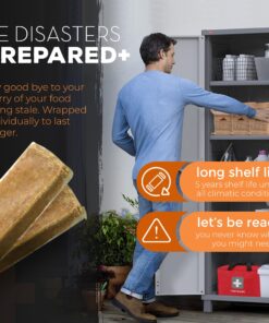 SOS Food Rations Emergency 3600 Calories Cinnamon Flavor Food Bar - 3 Day / 72 Hour Package with 5 Year Shelf Life- 1 Pack 22 81e7mgGiSL