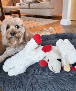 Multipet Plush Dog Toy, Lambchop, 10", White/Tan, Small 10" 35 81e8SfhG9L