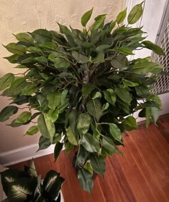 Nearly Natural 5383 3ft. Ficus Tree UV Resistant (Indoor/Outdoor),Green,Small 19 81eA16uTc4L