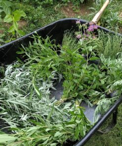 Pro Chef Kitchen Tools Clothes Drying Rack - Round Clothing Racks - Laundry Portable Clothesline Includes 18 Metal Clothespins Hanger Clips Set - Baby Clothes Storage Closet - Herb Hanging Air Dryer 31 81eAOGlKgUL