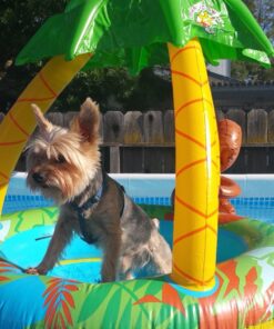 Poolmaster Learn-to-Swim Go Bananas Monkey Inflatable Kiddie Pool With Canopy 14 81eAf01ovNL