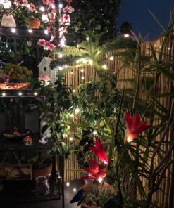 TONULAX Solar Garden Lights Outdoor - New Upgraded, Multi-Color Changing Lily Solar Lights for Patio,Yard Decoration, Bigger Flower and Wider Solar Panel (2 Pack,Purple and Red) 2 Pack 42 81eBcBlBmNL