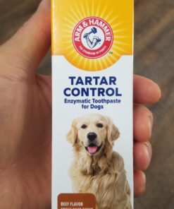 Arm & Hammer for Pets Tartar Control Enzymatic Toothpaste for Dogs | Reduces Plaque & Tartar Buildup | Safe for Puppies | Beef Flavor, 2.5 Ounces Dog Toothpaste Tartar Control - Beef 2.5 Ounce (Pack of 1) 36 81eCFB5BlZL