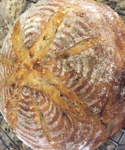 Breadtopia Bread Lame with 5 Blades & Storage Box | Premium Lame Bread Tool | Bread Lame Dough Scoring Tool | Perfect as a Sourdough Scoring Blade | Ideal Gifts for Bakers | 39 81eEVS2ylFL