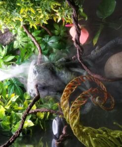 Croci Zoo Med Reptile Fogger Terrarium Humidifier,Black 23 81eGcSFIX6L