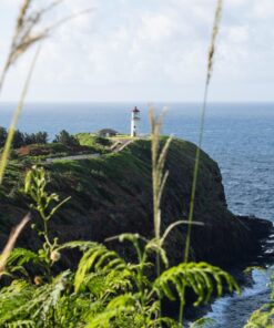 Nikon D750 w/ 24-120mm Lens 60 81eIQMAwbrL