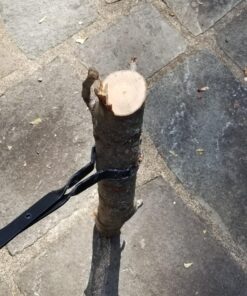 Epica Fireplace Tongs, 26" Long, Log Grabber 40 81eKMo4V33L