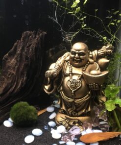 SunGrow 50 pcs Catappa Indian Almond Leaves for Betta Fish Tank Aquarium, 2” Water Conditioner Leaves, Leaf Also Suitable for Shrimp, Goldfish, Guppy and Frogs 50 Leaves 70 81eMrA1D9zL