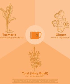 Organic India Tulsi Turmeric Ginger Herbal Tea - Holy Basil, Stress Relieving & Harmonizing, Immune Support, Healthy Inflammatory Response, Aids Digestion, Caffeine-Free - 18 Infusion Bags, 1 Pack 18 Count (Pack of 1) 20 81eO1BJLRL