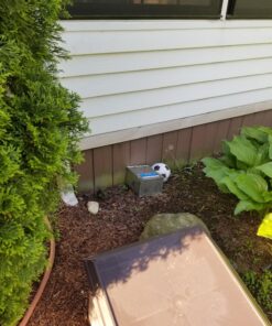 Kness 101-0-002 Ketch-All Mousetrap,Silver 1 TRAP 10 81eO4uT2 LL