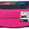 Filexec Soft Touch Padded Canvas Window Expanding File, 13 Pockets, Hot Pink (46222-3), Letter, 1 Pack 17 81eRqHHAhfL