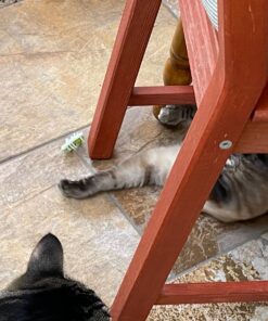 HEXBUG nano Nitro 5 Pack - Sensory Vibration Toys for Kids and Cats - Tiny HEX BUG Children’s Toy Technology with Batteries Included - Multicolor 27 81eT3isG0HL