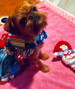 Aurora World Raggedy Ann & Andy - 8" Raggedy Ann Classic,Multicolores,15410 5 81eUvECV2GL