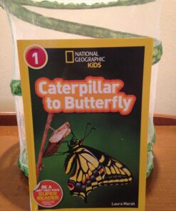 National Geographic Readers: Caterpillar to Butterfly Paperback 11 81eVazWLKL