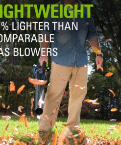 Greenworks 40V (110 MPH / 390 CFM) Cordless Axial Blower, 3.0Ah Battery and Charger Included LB-390 3Ah Battery and Charger 19 81ebKm2T7eS