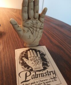1 X Palmistry Hand by AzureGreen 34 81ehXyRpWML