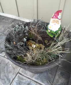 Giftware by Roman Inc., 12.25" H GNOME with Daisy Statue, Garden Collection, Outdoor Statue, Memorial, Resin Stone, Adorable Frogs and Flowers, Garden Décor (12x4x5) 11 81ejnfMDo8L