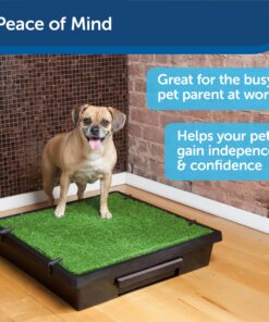PetSafe Pet Loo Portable Dog Potty, Alternative to Pee Pads, Small 10 81ek2EAAdrL