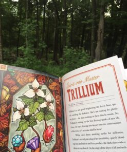 The Illustrated Herbiary: Guidance and Rituals from 36 Bewitching Botanicals (Wild Wisdom) 54 81elkAfU2SL