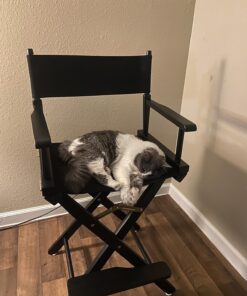 Casual Home 24" Director's Chair Black Frame-with Black Canvas, Counter Height Black Frame - Solid Wood 30 81em E4CJlL