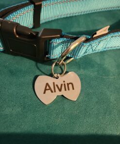 GoTags Stainless Steel Pet ID Tags, Personalized Dog Tags and Cat Tags, up to 8 Lines of Custom Text, Engraved on Both Sides, in Bone, Round, Heart, Bow Tie and More Regular (Pack of 1) 27 81en90HKUJL
