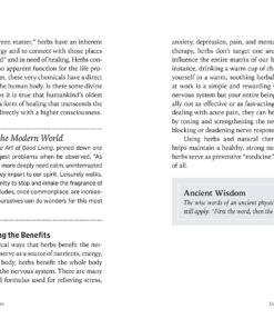 Herbs for Stress & Anxiety: How to Make and Use Herbal Remedies to Strengthen the Nervous System. A Storey BASICS® Title 6 81epRr3jZuL