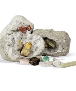 Dig It Up! Fossils & Minerals 11 81erb5IfEDL