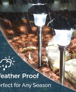 Morvat LED Auto Solar Powered Outdoor Path Lights with Stainless Steel & Glass Lens for Garden Yard & Pathway, Bright Waterproof Landscape & Patio Lighting, Dusk to Dawn, White Light, 8 Pack 17 81erwMRiBRL