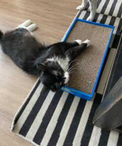 Catit Cat Scratcher, Wide Cat Board 34 81exkDhpHjL