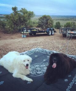 Camco 42853 Oriental Awning Leisure Mat-Charcoal 9' X 12' 9' x 12' Charcoal Oriental 15 81extO2ZxyL