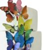 Sugar Robot Inc. Edible Butterflies Large Size Premium Crafted Made in the USA Cake and Cupcake Toppers, Decoration (Rainbow) Rainbow 17 81ezbUqYykL