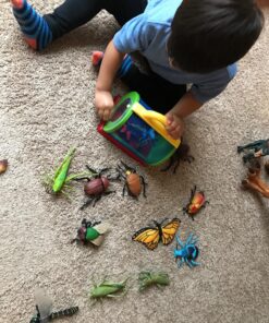 Toysmith: Outdoor Discovery Critter Case by Toysmith - Backyard Nature Exploration To Catch & Release Bugs & Insects to Study Up Close 25 81f Fj0o2bL