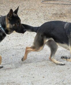 Car DVR Rear View Mirror Video Recroder 4.3" inch Back Up Car Camera Dual Lens Cam Night Vision Front and Rear Backup Reverse Security for Car 26 81f aN2u3VL