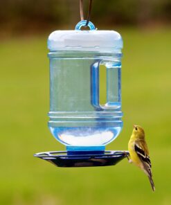 Perky-Pet 780 Outdoor Hanging Water Cooler Bird Waterer and Dispenser,Blue, 1.5 Qt Capacity 29 81f0vuDlFDL