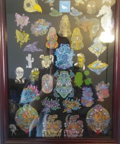 DisplayGifts Collector Medal Lapel Pin Shadow Box Display Case Holder Cabinet Shadow Box PC01 Cherry Finish 25 81f1dAOcuXL