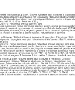 Burt's Bees Christmas Gifts, 3 Lip Care Stocking Stuffers Products, Mistletoe Kiss Set - Pomegranate Moisturizing Lip Balm, Hibiscus Tinted Lip Stain + Balm Duo & Peony Lip Shimmer Oil Stick (3-Pack) 13 81f6SonDjjL