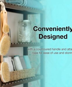 Dry Brushing Body Brush Set with 100% Natural Boar Bristles (Set of 3) | Skin Exfoliating Kit with Long Detachable Back Brush, Contour Body and Face Brushes | Lymphatic Drainage, Cellulite Treatment 26 81f6UpS XPL