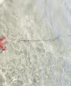 MarineNow Portable Folding Anchor Buoy Kit Canoe Kayak Raft Boat Sailboat Fishing Jet Ski 6 81f6hLo7CL