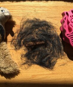 KONG - ZoomGroom - Dog Brush for Grooming and Shampooing - Blue Brush for Large Dogs Standard Packaging 36 81f8ma hcoL