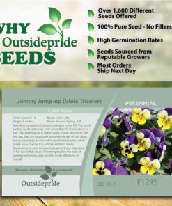 Outsidepride Viola Johnny Jump Up Wild Flowers & Ground Cover Plants - 5000 Seeds Johnny-jump Up 33 81f9LzZstbL