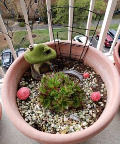 Hoffman 10410 Organic Cactus and Succulent Soil Mix, 10 Quarts 23 81f9wpwk6YL