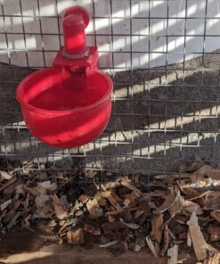 RentACoop DIY Waterer Kit - Auto-Fill Cups with Inserts - Great for Chickens, Ducks, Geese, Turkeys, Peafowl, and Quail - 2 Pack + 1 Bonus Cup Included pack of 2 34 81fJe4R3JQL 1