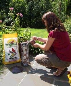 Wagner's 76029 Black Oil Sunflower Seed Wild Bird Food, 40-Pound Bag 23 81fKNlEcVL