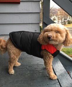 Gooby Padded Vest Dog Jacket - Red, Medium - Warm Zip Up Dog Vest Fleece Jacket with Dual D Ring Leash - Winter Water Resistant Small Dog Sweater - Dog Clothes for Small Dogs Boy and Medium Dogs Medium chest (18.25") 1 45 81fL6SuKdGL